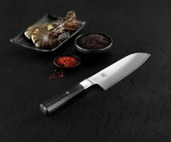 Miyabi 4000FC Santoku 18 Cm, 33957-181 -Célèbre Couteaux Magasin 4000FC2