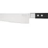 Maserin TEGI 2500-17PN Santoku Noir, 17 Cm