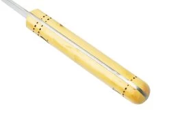 Nontron Traditional Range, 8 Cm TOF9RBU, Couteau D'office -Célèbre Couteaux Magasin NNTOF9RBU 04 nontron