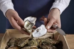 Couteau à Huîtres Opinel N°09 -Célèbre Couteaux Magasin OP001616 07 opinel oestermes op001616 08