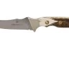 PUMA Waidwerk, Staghorn 113440 Couteau De Chasse -Célèbre Couteaux Magasin PU113440 01 puma