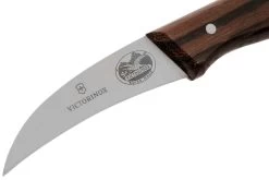 Victorinox Wood 5.3100 Couteau Bec D'oiseau, 6 Cm -Célèbre Couteaux Magasin VT5 3100 03 victorinox