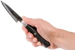 Miyabi 4000FC Shotoh / Couteau D'office 9 Cm, 33950-091 -Célèbre Couteaux Magasin ZW33950 091 07 zwilling miyabi 4000fc zw33950 091 07