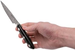 Bob Kramer By Zwilling Euro Stainless Couteau D'office 10 Cm, 34890-101-0 -Célèbre Couteaux Magasin ZW34890 101 0 06 zwilling bob kramer zw34890 101 0 06